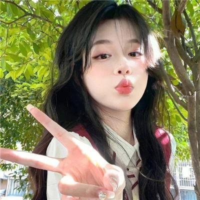 我的英雄学院：两位英雄